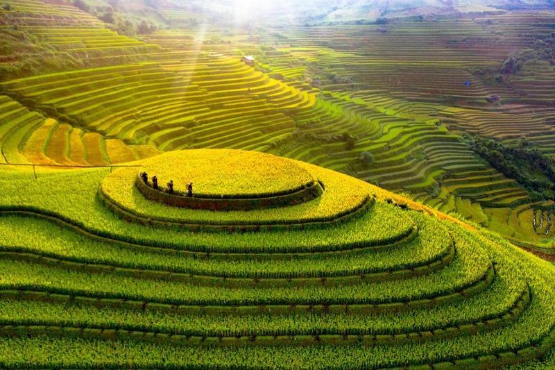 Hong Minh Guesthouse Mu Cang Chai Eksteriør bilde