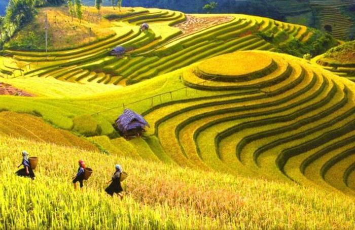 Hong Minh Guesthouse Mu Cang Chai Eksteriør bilde